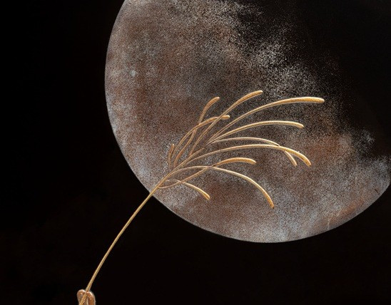 Shibata Zeshin, ryoshibako Mante religieuse sous la lune-photo-4