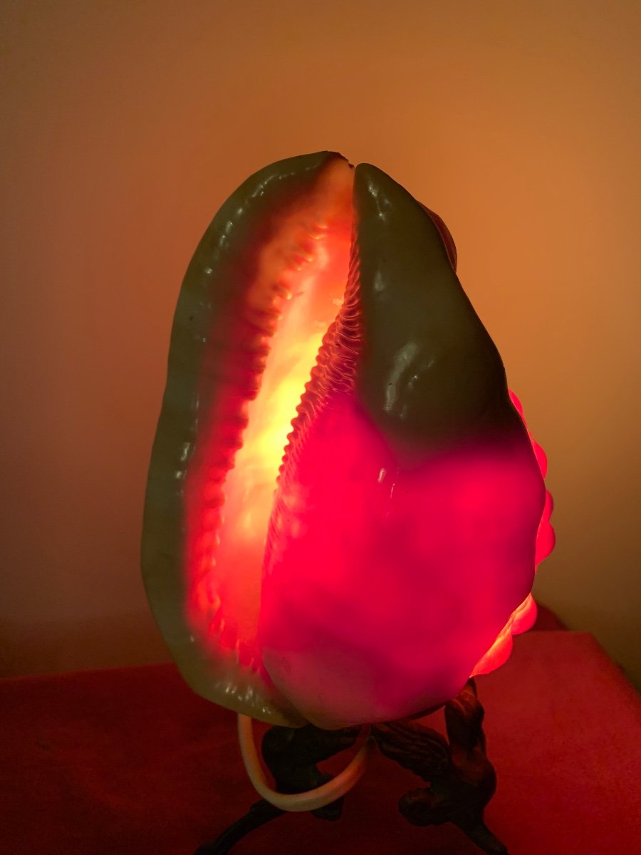 Lampe Coquillage Travaillé-photo-1