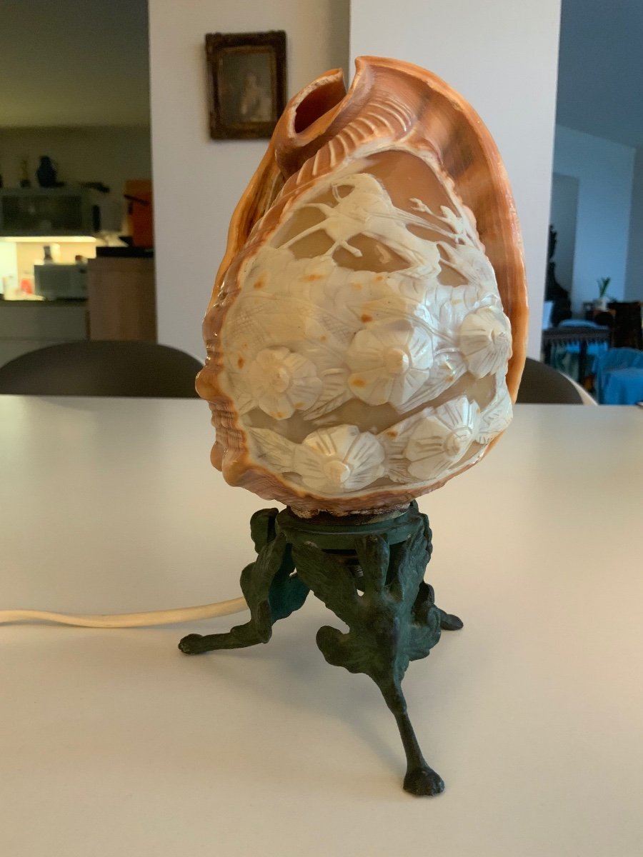 Lampe Coquillage Travaillé