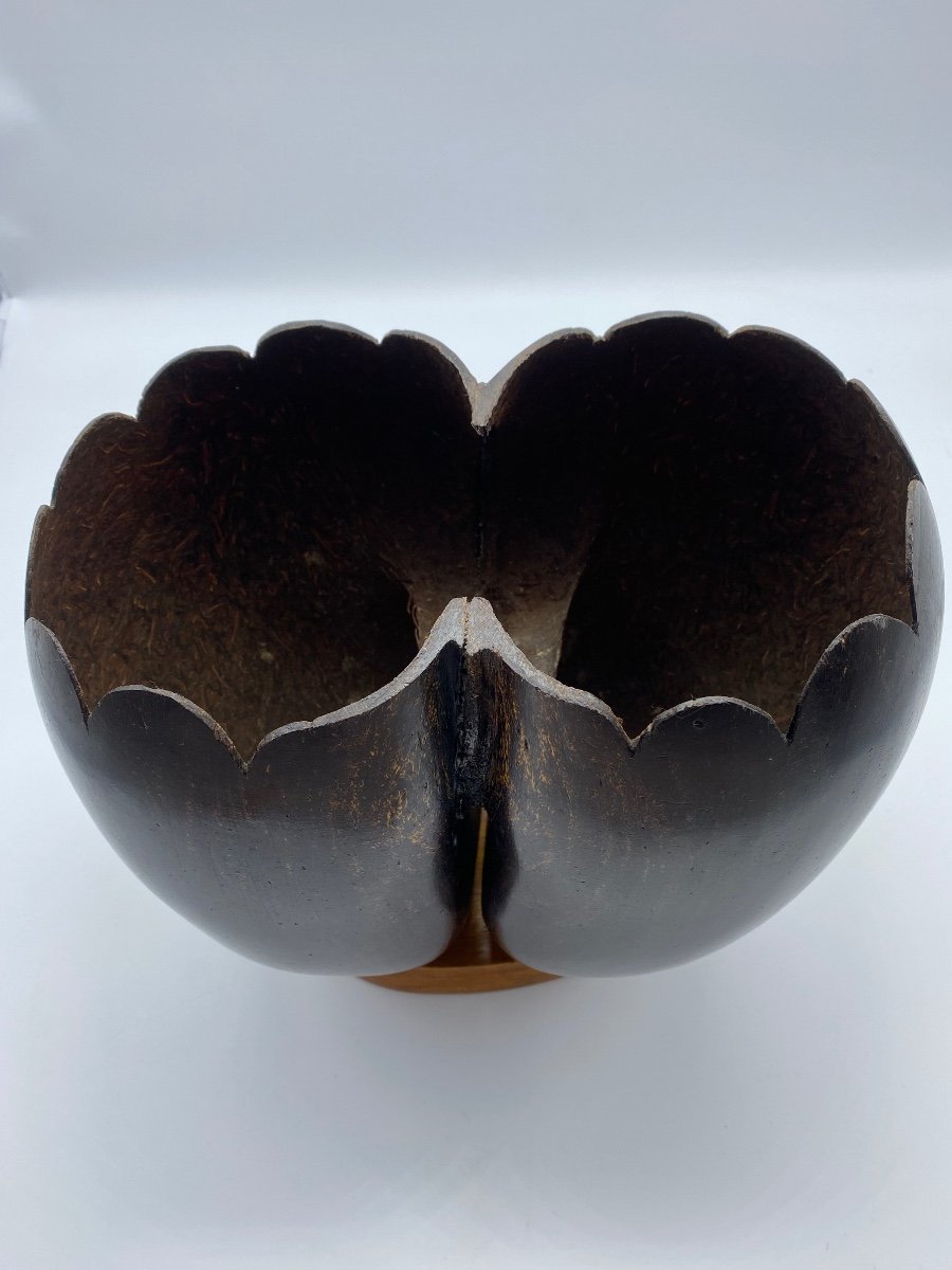 Double Coco De Mer Vase Early 20th Century From Suychelles-photo-4