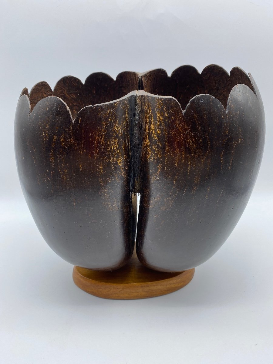 Double Coco De Mer Vase Early 20th Century From Suychelles-photo-7