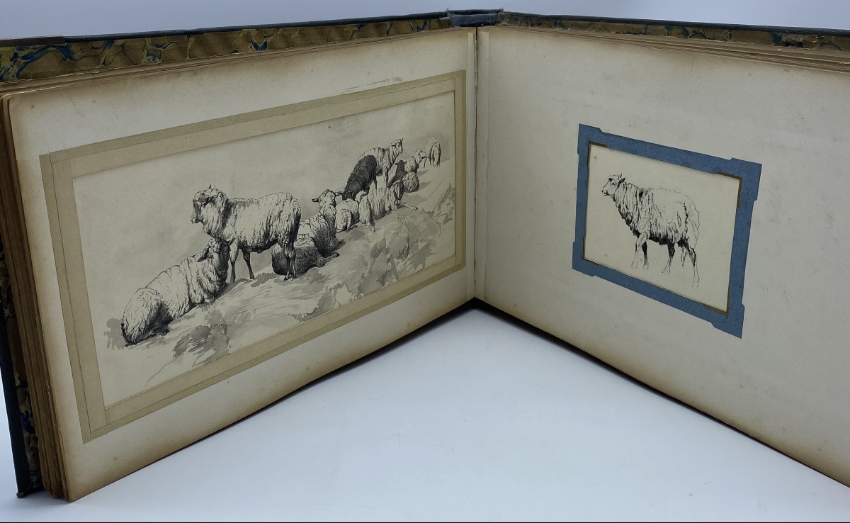 France V. Berré Antique Collection Of 22 Ink Drawings Of Farm Animals Animal Art-photo-2