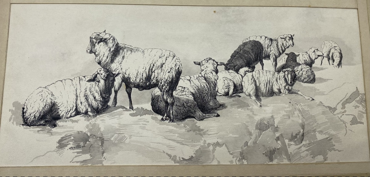 France V. Berré Antique Collection Of 22 Ink Drawings Of Farm Animals Animal Art-photo-3