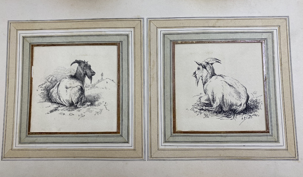 France V. Berré Antique Collection Of 22 Ink Drawings Of Farm Animals Animal Art-photo-2