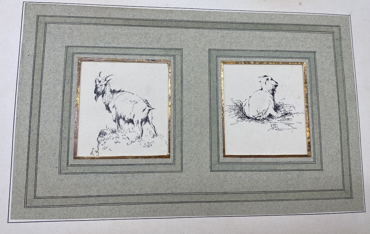 France V. Berré Antique Collection Of 22 Ink Drawings Of Farm Animals Animal Art-photo-3