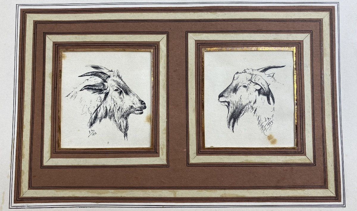 France V. Berré Antique Collection Of 22 Ink Drawings Of Farm Animals Animal Art-photo-4