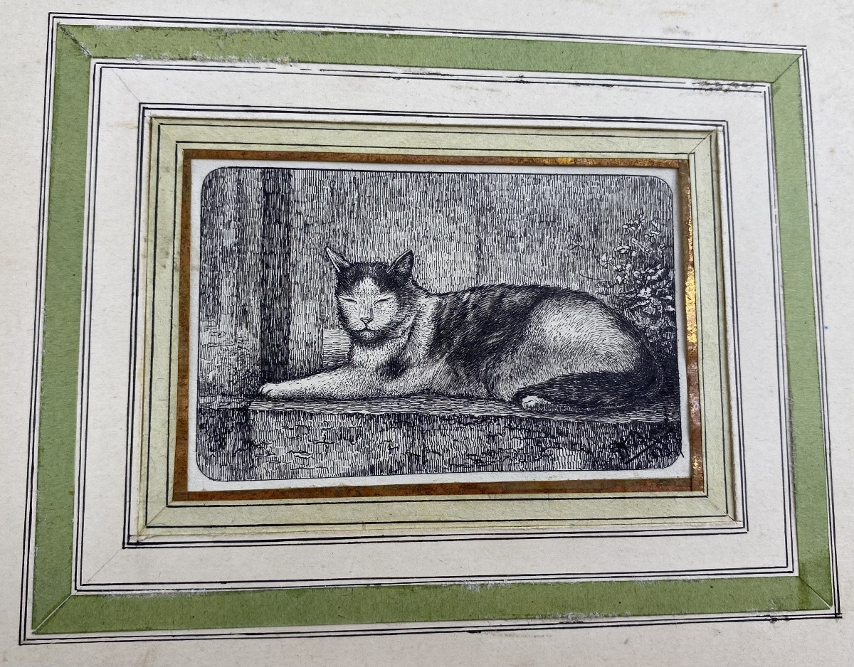 France V. Berré Antique Collection Of 22 Ink Drawings Of Farm Animals Animal Art-photo-6