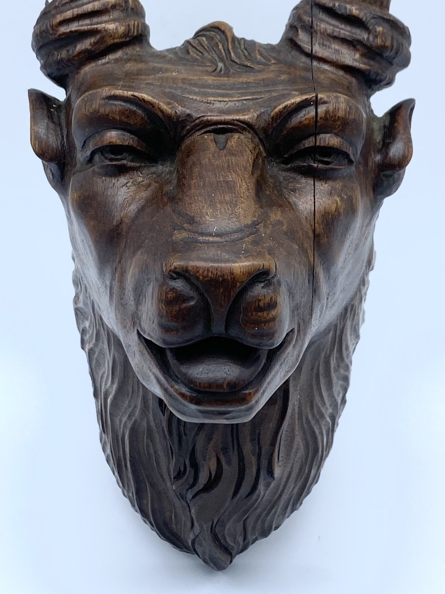 Antique Black Forest Anthropomorphic Deer Trophy, Carved Wood, 19th Century-photo-4