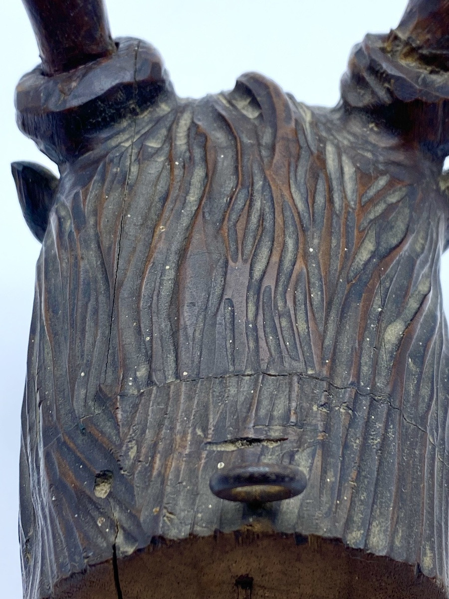 Antique Black Forest Anthropomorphic Deer Trophy, Carved Wood, 19th Century-photo-2