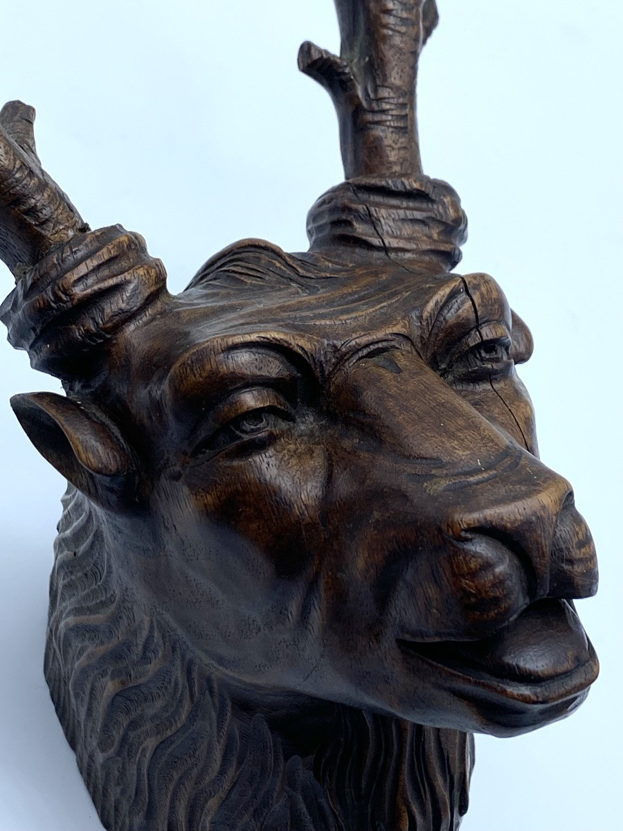 Antique Black Forest Anthropomorphic Deer Trophy, Carved Wood, 19th Century-photo-4