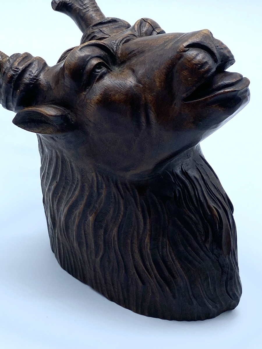 Antique Black Forest Anthropomorphic Deer Trophy, Carved Wood, 19th Century-photo-6