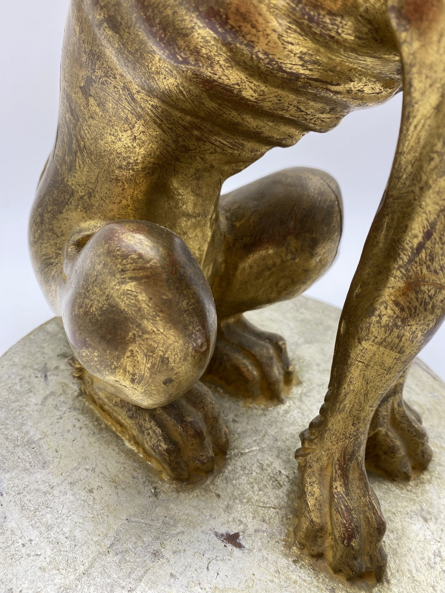 Italian Statue In Gilded Wood Of A Greyhound Whippet-photo-3
