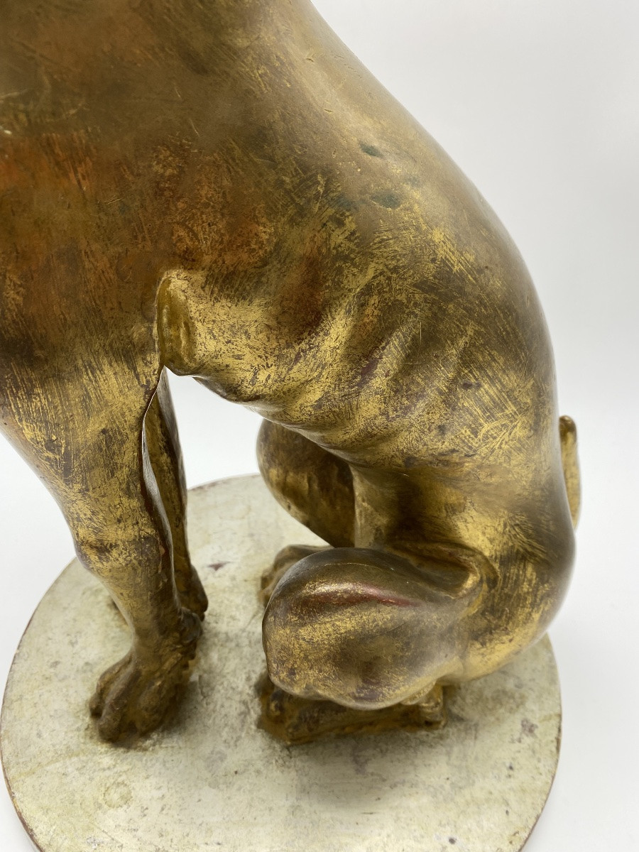 Italian Statue In Gilded Wood Of A Greyhound Whippet-photo-6