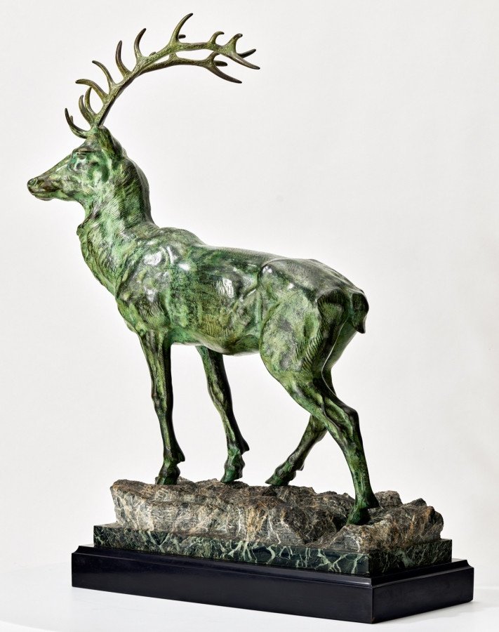 Cerf En Majeste-photo-3