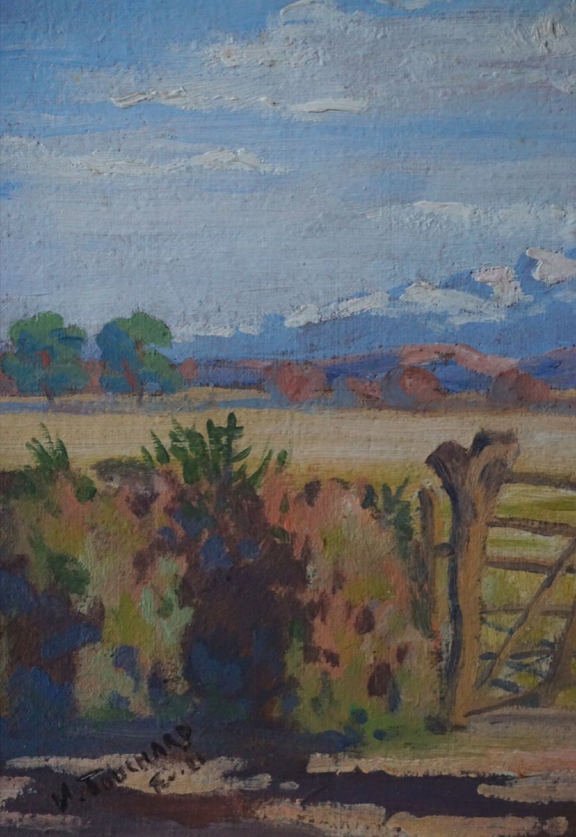 V. TOUCHARD / Paysage De Montagne / Auvergne ? Puy de Sancy ? / Signé et daté 1921 / huile sur toile-photo-1