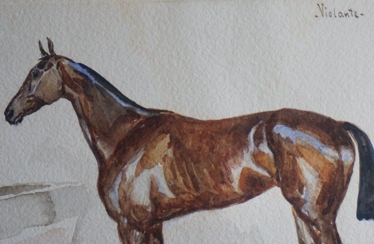 JOHAN G. ARSENIUS (1818-1903) / PORTRAIT D'UN CHEVAL DE COURSE / DATÉE 1870 / AQUARELLE -photo-2