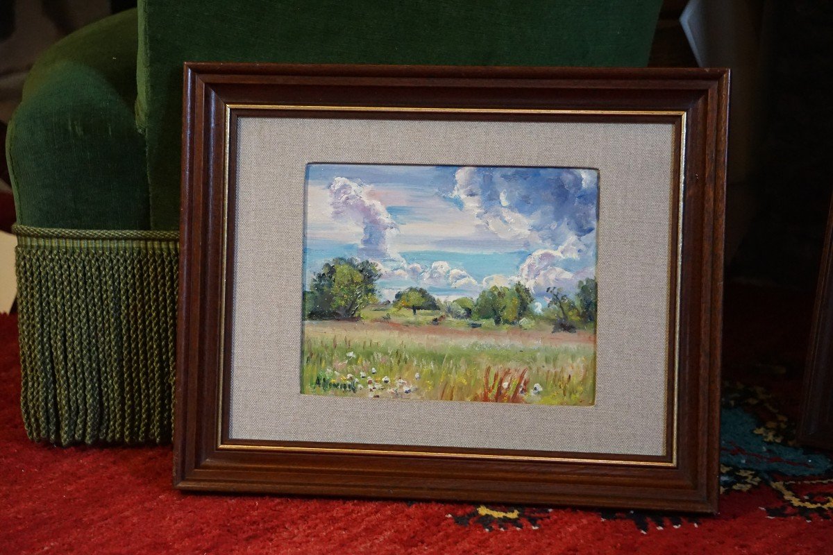 Country Landscape / André Vivrel (1886-1976) / Oil On Canvas Cardboard-photo-6