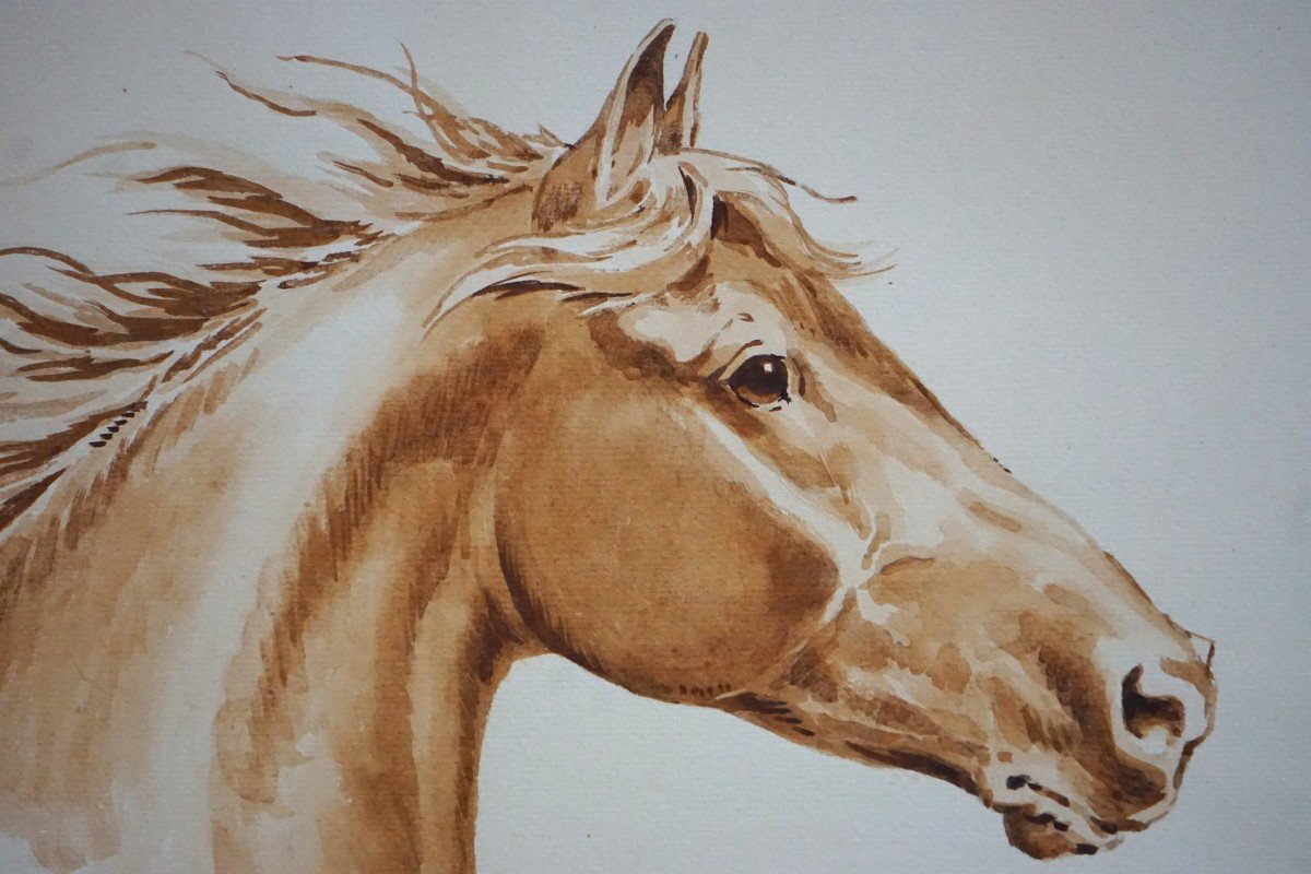 Jacques Cartier (1907-2001) / Portrait Of A Horse In The Wind / Watercolor-photo-3