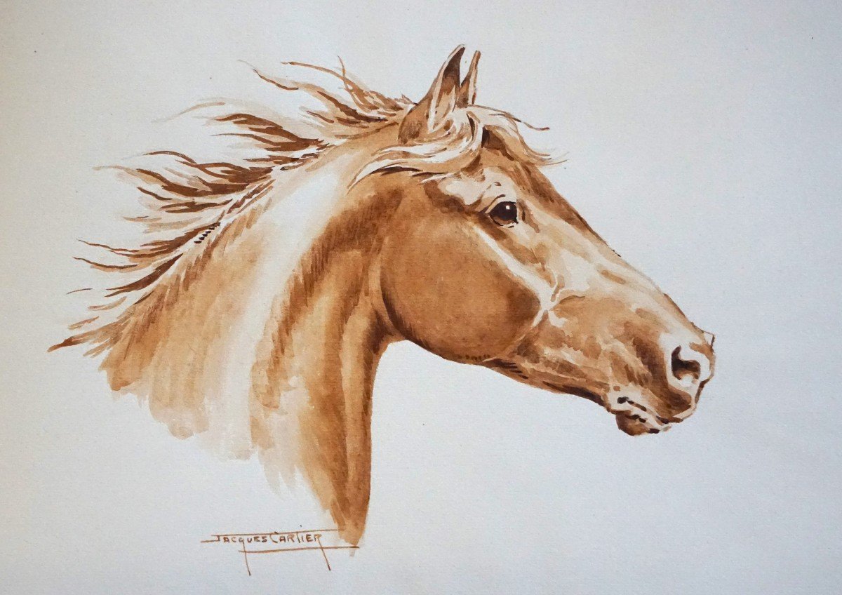 Jacques Cartier (1907-2001) / Portrait Of A Horse In The Wind / Watercolor