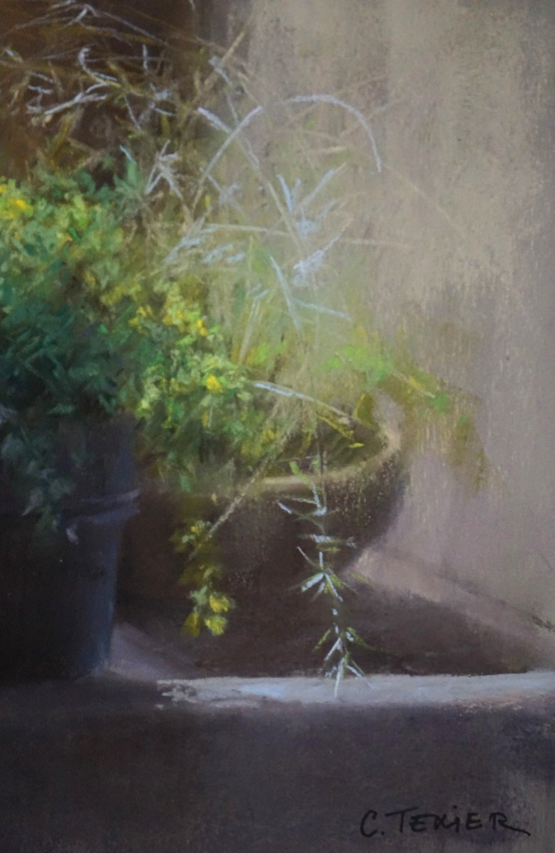 "forgotten Transparencies: The Poetry Of Pastel" / Still Life With Bottles / Claude Texier-photo-8