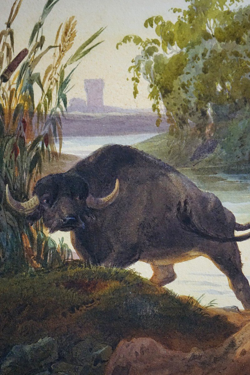 ROME -  ANNÉE 1840 / VICINANZA D'OSTIA / Andrea Gasparini /  aquarelle-photo-2