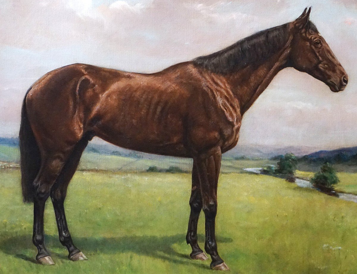Equestrian Portrait – English School / 1930s-1940s / Signed Harris / Oil On Canvas-photo-2
