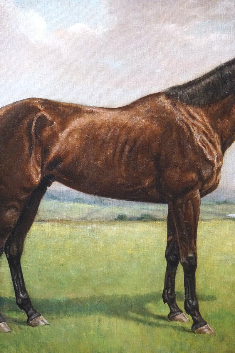 Equestrian Portrait – English School / 1930s-1940s / Signed Harris / Oil On Canvas-photo-4