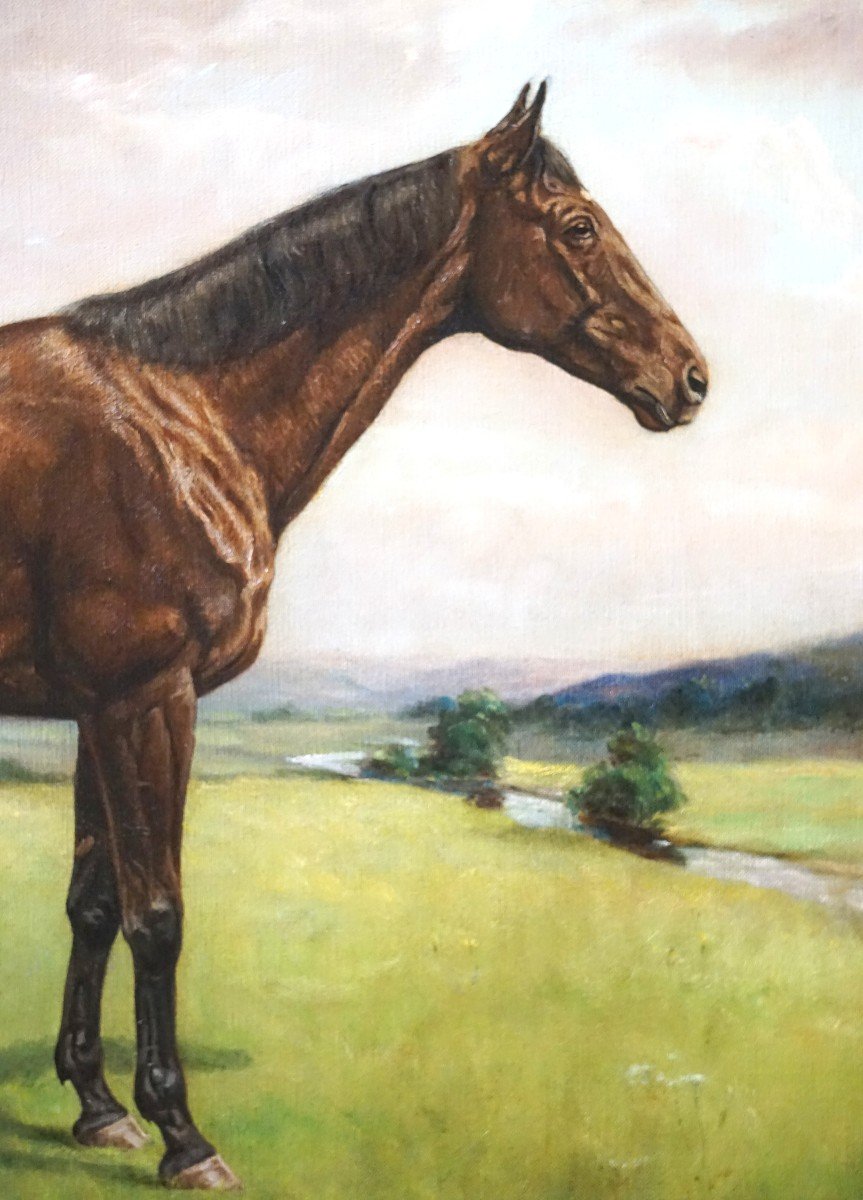 Equestrian Portrait – English School / 1930s-1940s / Signed Harris / Oil On Canvas-photo-1