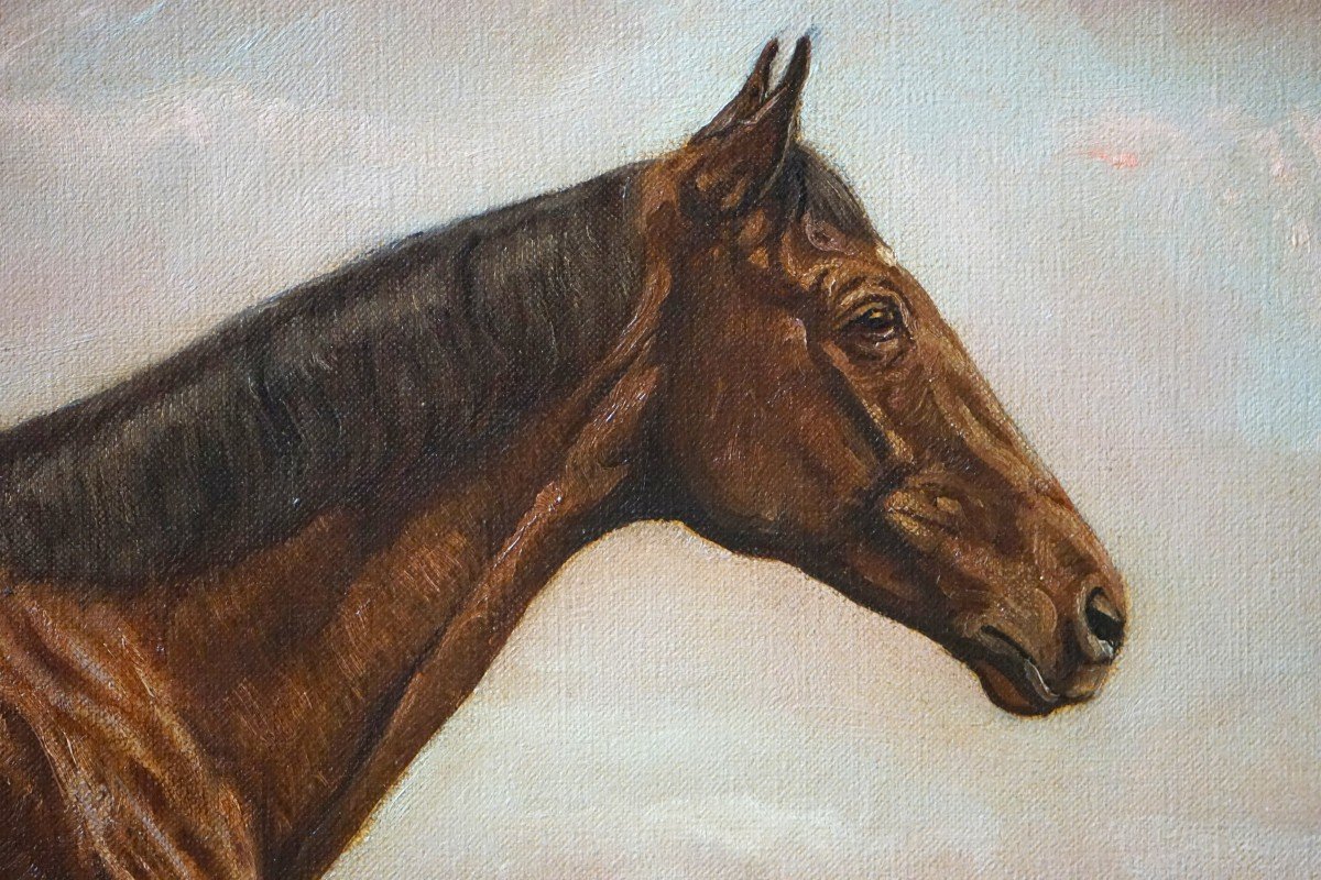 Equestrian Portrait – English School / 1930s-1940s / Signed Harris / Oil On Canvas-photo-4