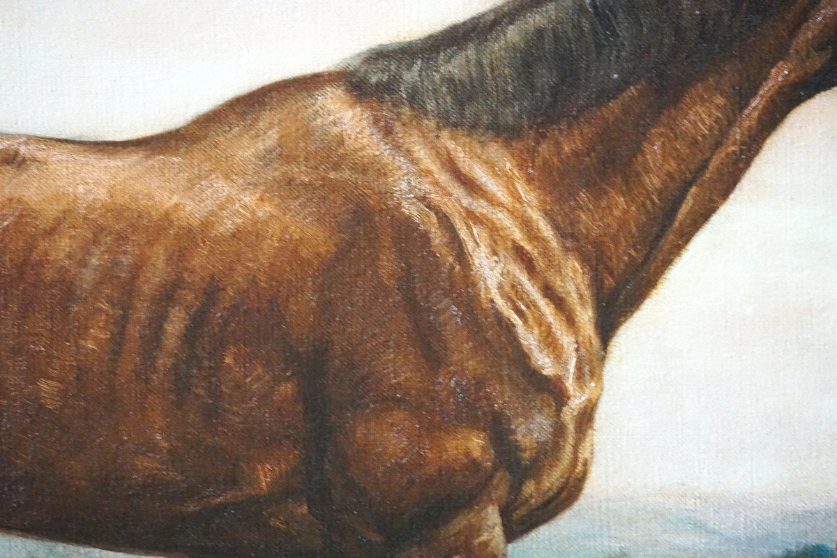 Equestrian Portrait – English School / 1930s-1940s / Signed Harris / Oil On Canvas-photo-5