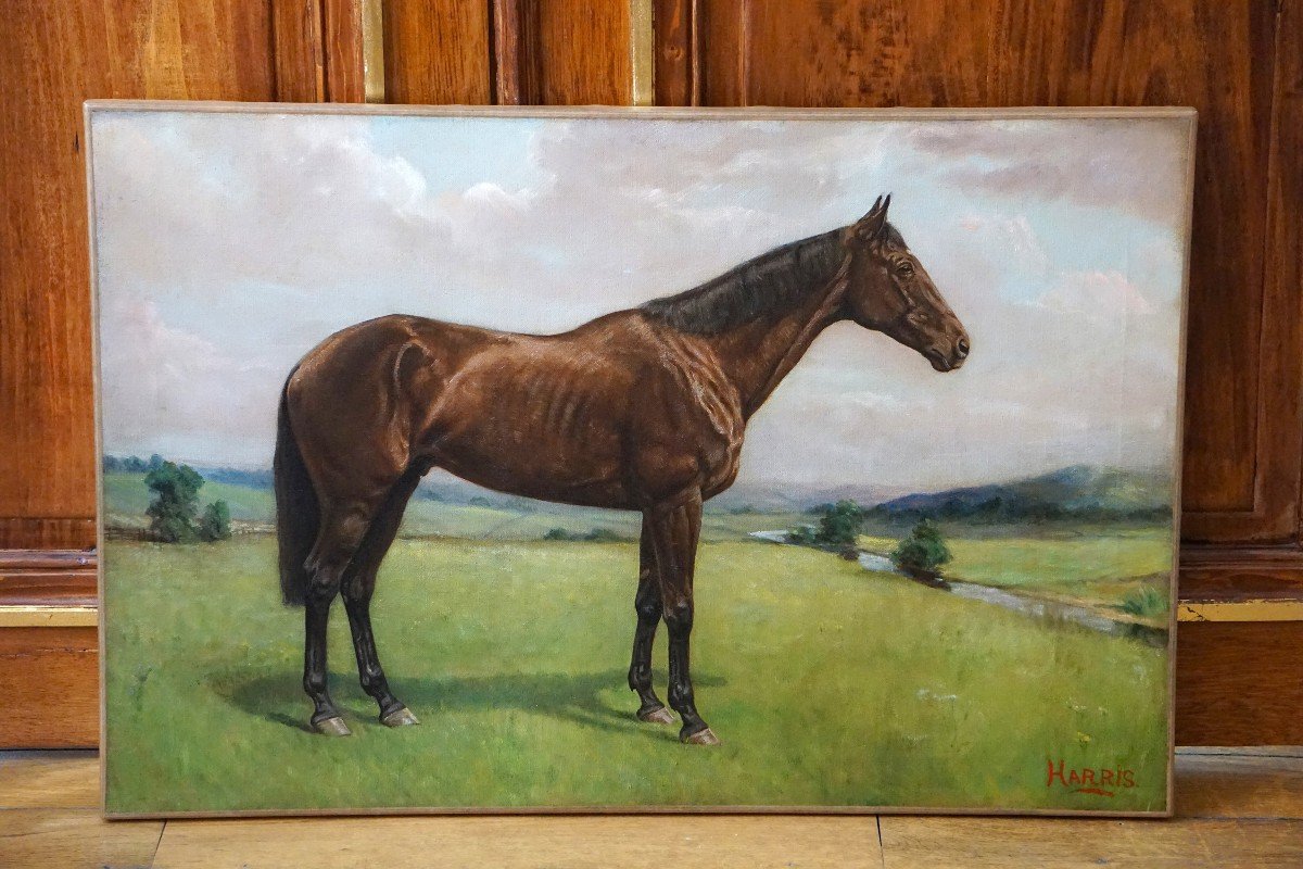 Equestrian Portrait – English School / 1930s-1940s / Signed Harris / Oil On Canvas-photo-7