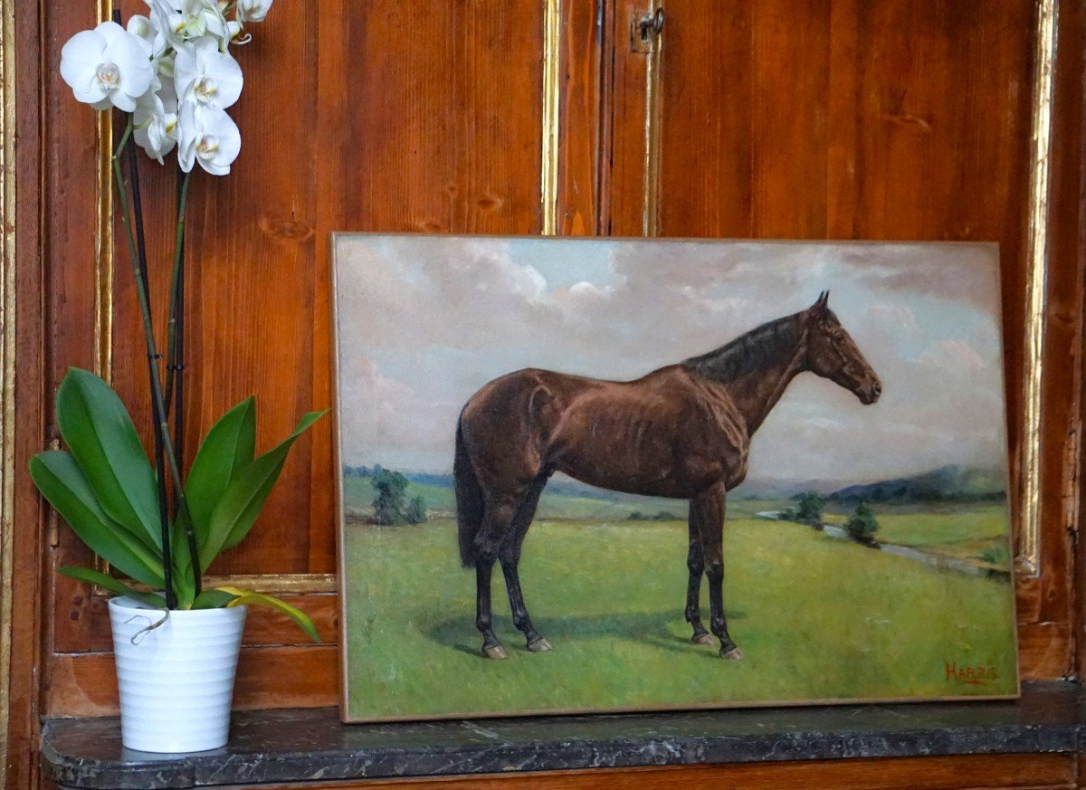 Equestrian Portrait – English School / 1930s-1940s / Signed Harris / Oil On Canvas-photo-8