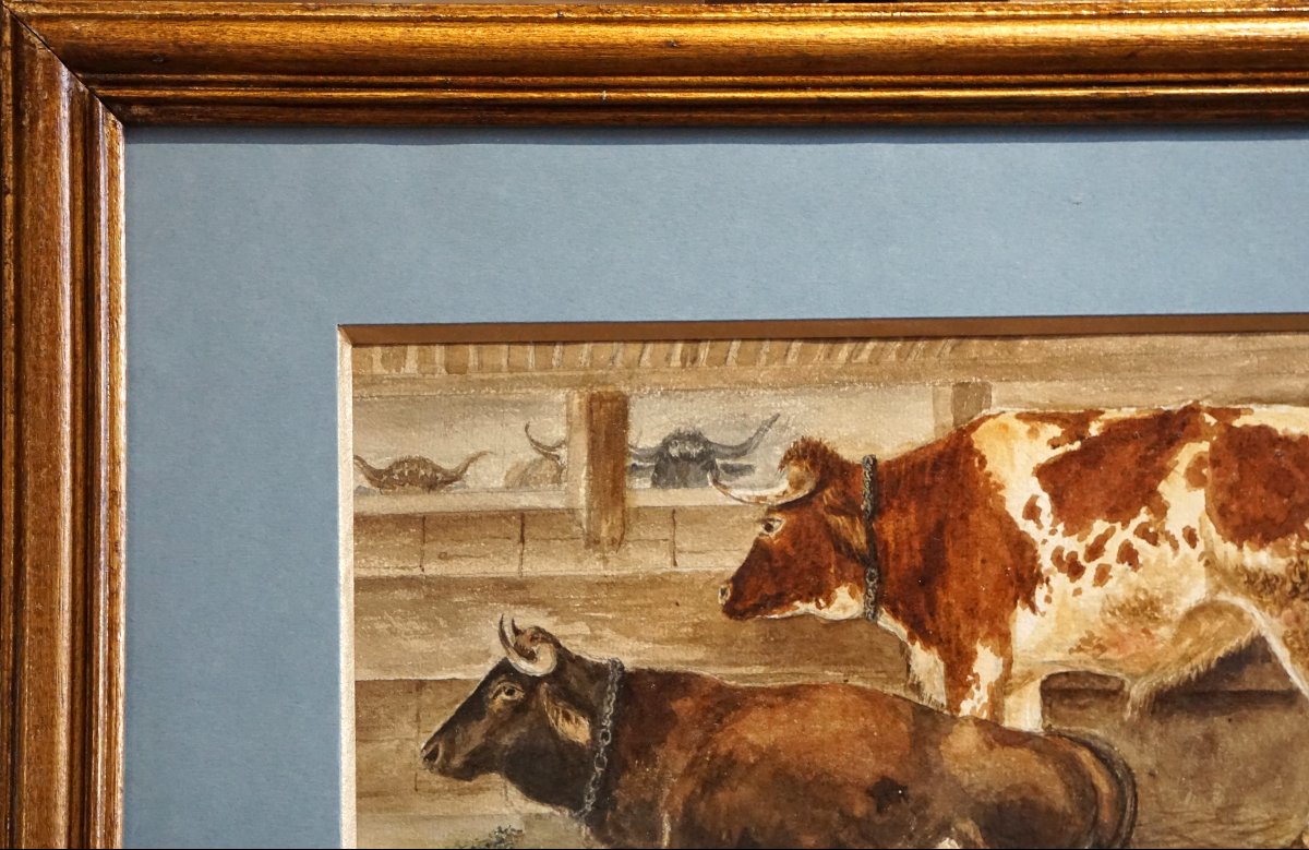 Pastoral Scene With Cows / Year 1835 / Gouache On Parchment-photo-5