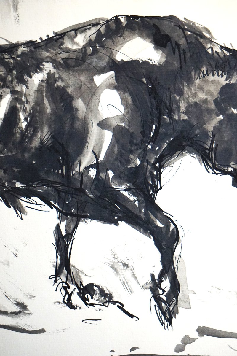 Bull With Raised Leg / José Luis Rey Vila (1910-1983) / Ink And Wash On Pape-photo-1