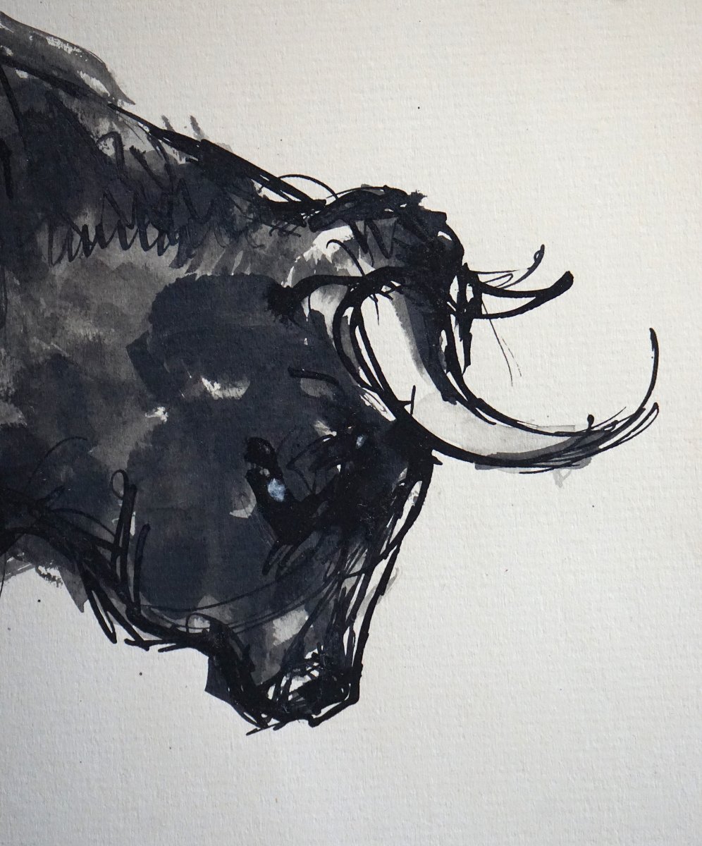 Bull With Raised Leg / José Luis Rey Vila (1910-1983) / Ink And Wash On Pape-photo-2