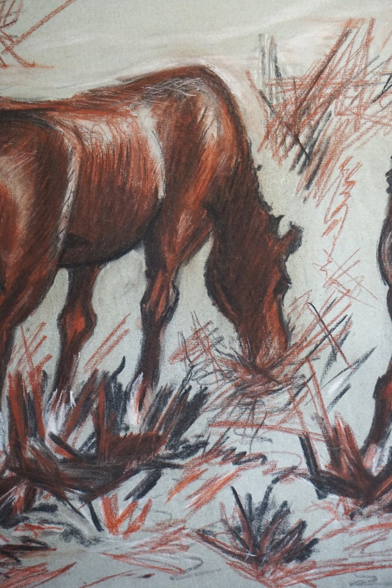 Juan Carlos Castagnino (1908–1972) / Study Of Horses / Dated 1951 / Charcoal And Red Chalk-photo-4