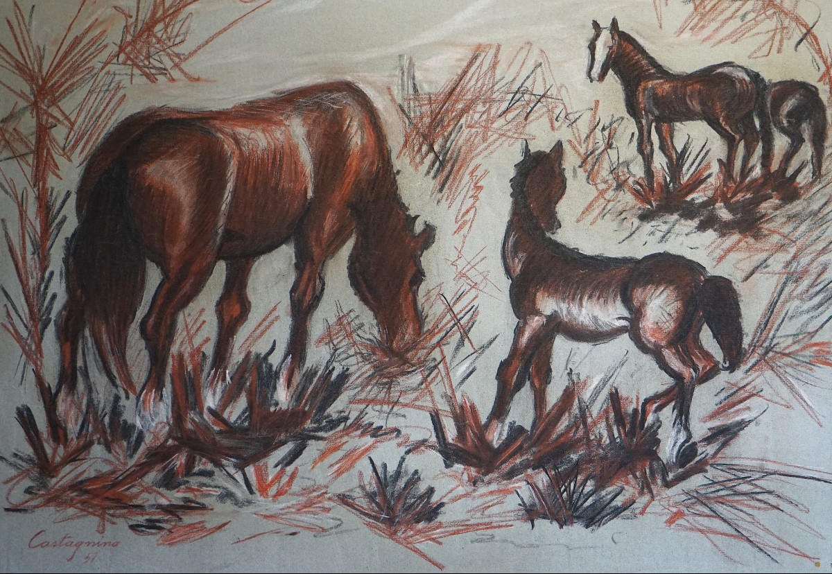 Juan Carlos Castagnino (1908–1972) / Study Of Horses / Dated 1951 / Charcoal And Red Chalk-photo-2