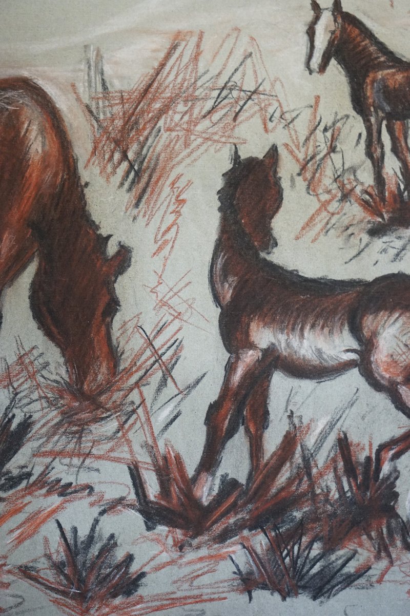 Juan Carlos Castagnino (1908–1972) / Study Of Horses / Dated 1951 / Charcoal And Red Chalk-photo-1