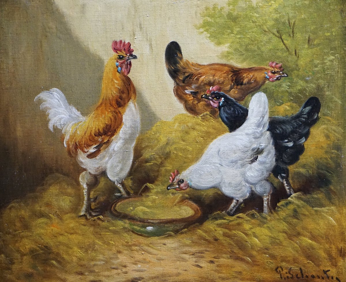 PAUL SCHOUTEN (1860-1922) / BASSE-COUR FLAMANDE AUX POULES ET COQ / huile sur toile-photo-2