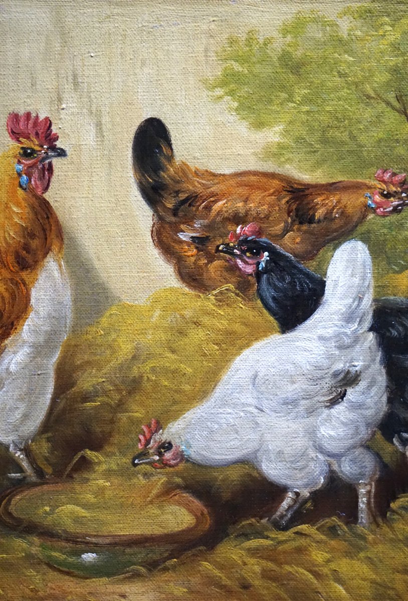 PAUL SCHOUTEN (1860-1922) / BASSE-COUR FLAMANDE AUX POULES ET COQ / huile sur toile-photo-4