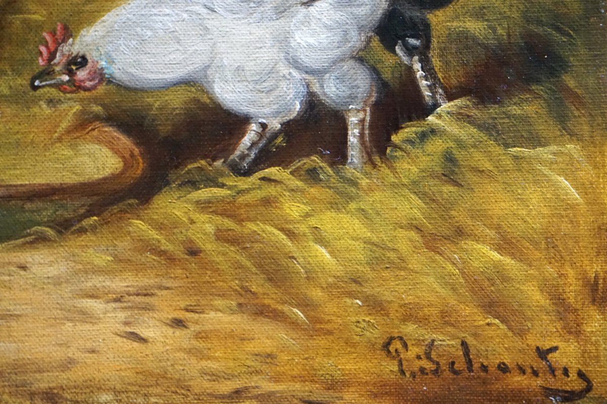 PAUL SCHOUTEN (1860-1922) / BASSE-COUR FLAMANDE AUX POULES ET COQ / huile sur toile-photo-1