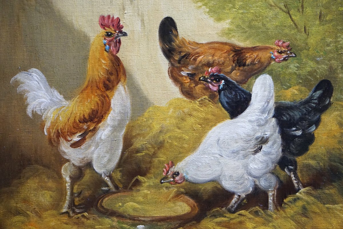 PAUL SCHOUTEN (1860-1922) / BASSE-COUR FLAMANDE AUX POULES ET COQ / huile sur toile-photo-2