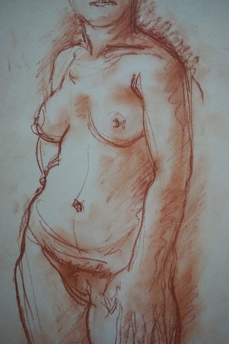 CHARLES DESPIAU (1874-1946) - NU FÉMININ À LA SANGUINE -photo-2
