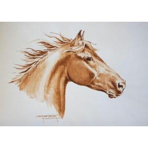 JACQUES CARTIER (1907-2001) / PORTRAIT DE CHEVAL AU VENT / aquarelle