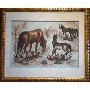 JUAN CARLOS CASTAGNINO (1908–1972)  /  ÉTUDE DE CHEVAUX / DATÉE 1951 / Fusain et sanguine