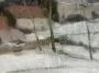 1844421-6adc97333aae4.jpg