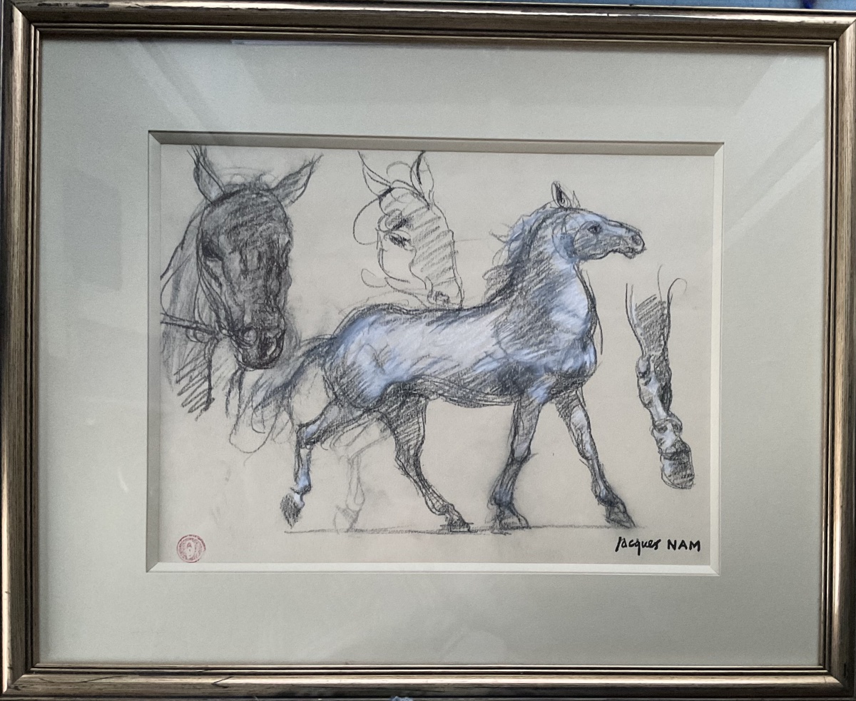 Étude de cheveaux