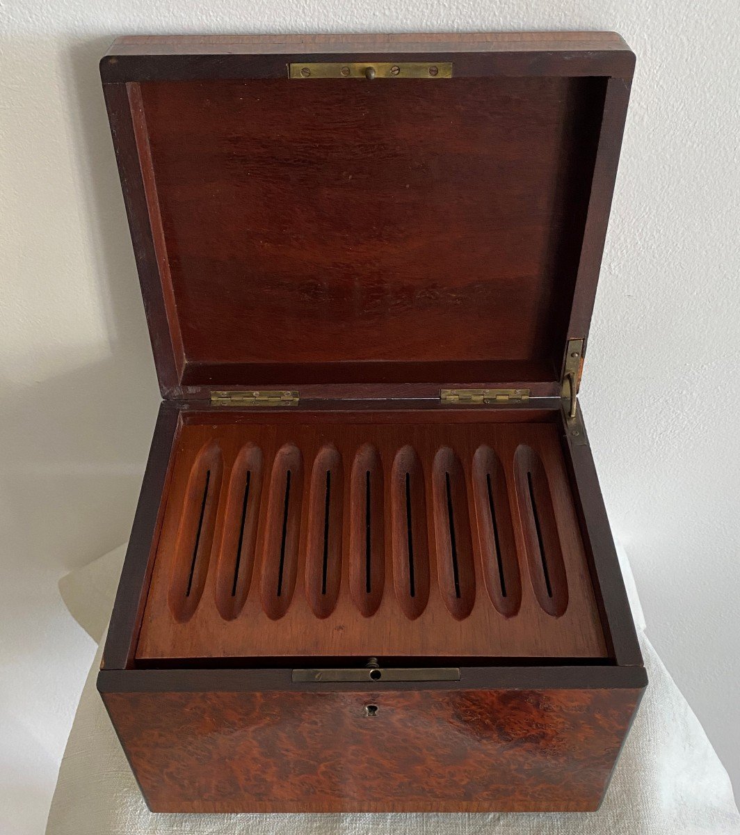 Cellar Box Or Cigar Box In Marquetry XIX-photo-3
