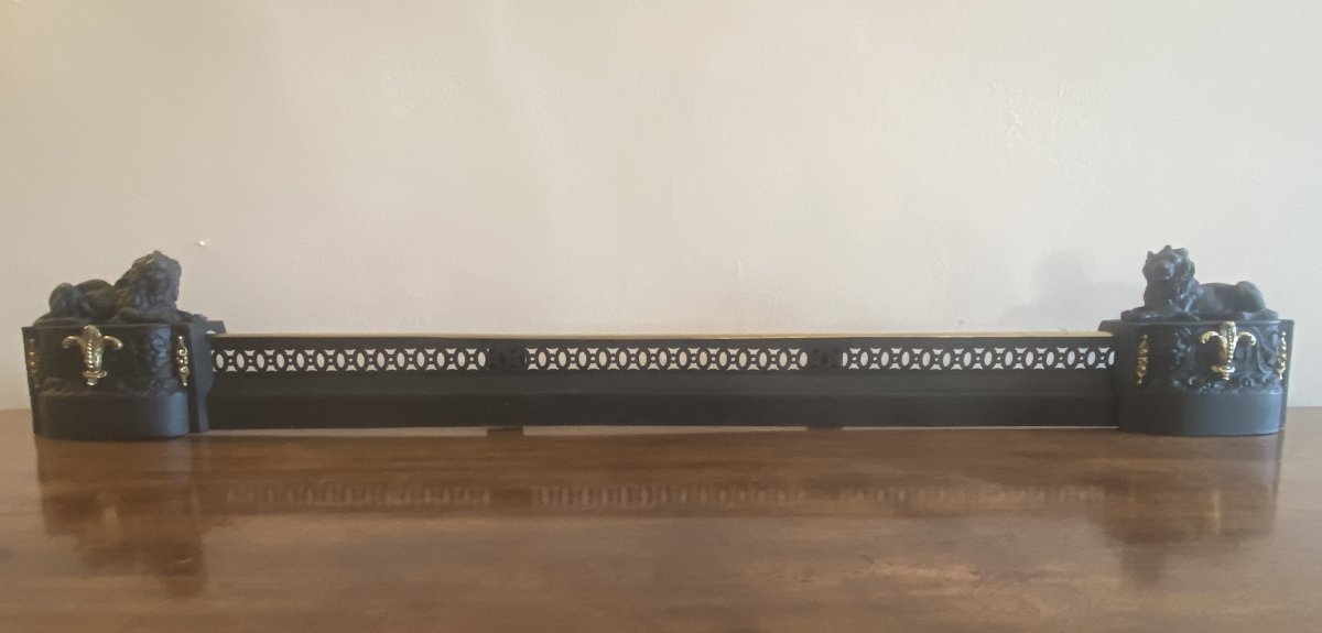 19th Century Cast Iron And Brass Fireplace Or Hearth Bar With Lions And Fleur-de-lis-photo-4