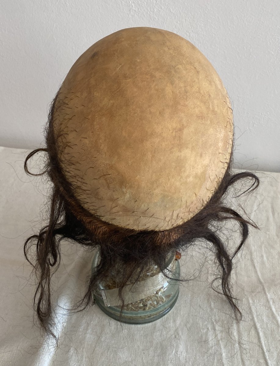 Calotte de perruque ancienne en cuir et cheveux naturels – Début XXᵉ siècle-photo-4
